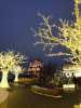 00C1774B-8A4D-4851-A442-BBFCF2070031.thumb.png.e5c6feb7accaec36554d1fe6dd8b2931.png
