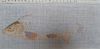 1.thumb.jpg.8cfd5f41525100c3aea2f1c29b5682d1.jpg