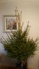 1103798010_2.thumb.JPG.7d97a111d28d8c6628598f97960a1415.JPG