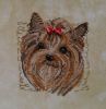 17944671_BK-535YorkshireTerrier-DMC.thumb.jpg.dbcdd57d495985312a18c2676ade6444.jpg