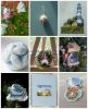 190111_183802_COLLAGE-1.thumb.jpg.fa000d5c295266cd9a9eed808e925ebd.jpg