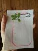 2.thumb.jpeg.9fd8385bbc889bccf78d84ce46d3ba16.jpeg