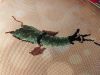 2.thumb.jpg.57abadde5b1a4a0ec3cd707c67a45ac0.jpg