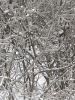 20161113_103424.thumb.jpg.b410f448690799eba88ec637b4933100.jpg