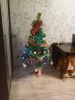20171230_103616.jpg