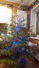 20181230_175411.thumb.jpg.fd86aa6835cae6a660a003606203bb41.jpg