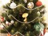 20181231_183002.thumb.jpg.9449e32eb98d72697e85f86b954219db.jpg