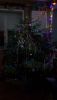 20181231_230404.thumb.jpg.e2d15892899b5cd067b2409c625e9760.jpg
