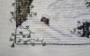 20190101_103547.thumb.jpg.aa5e03c3b87d94f0308eb547a4f70aec.jpg