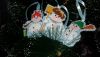 20190101_145121.thumb.jpg.9d4e85c6f7527a573c1502b13de57fba.jpg