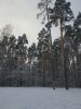 20190104_125901.thumb.jpg.918424b01991da5b3f535b2fe381980b.jpg