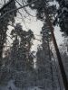 20190104_130135.thumb.jpg.ec43d4277a8d23871cdf332d1a9b8332.jpg