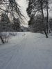 20190104_130917.thumb.jpg.91df217d645e994eaaf765d076af9e03.jpg