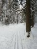 20190104_133604.thumb.jpg.083a3c847deea5ac7423dd9f994bc5e4.jpg