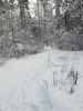 20190104_135911.thumb.jpg.a211232e5e690c70f654808a3140871c.jpg