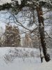 20190104_135922.thumb.jpg.917bca778978a71ee38c0eb34e5788b6.jpg