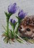 20190113_093950.jpg.d0a6b49f7933e8c2c7031cd4e458e6da.thumb.jpg.ad3c62c62c335b79d983c9210c4948b5.jpg