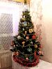 20190114_090513.thumb.jpg.a75f40c97646266047e562ff97524970.jpg