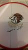 20190118_090744.thumb.jpg.6b4a250ea25bf4ccb4ffc9a0f5dd38f8.jpg