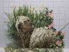 20190121_151745.thumb.jpg.f2cfe23d179ff836ecd452180ddddcff.jpg