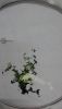 20190122_162044.thumb.jpg.ccd8a10f03748c50a91af9664f3c5aa3.jpg