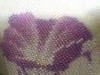 20190124_005402.thumb.jpg.45004c3836cede5163245e4a6b6c06de.jpg?1548590764644