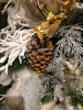 266453F6-8B92-4683-BD5E-CEB1443CC035.thumb.png.6ac8600dde130f7befdf87acb8c11ec6.png