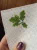 3.thumb.jpeg.b6466859686c830f21b65d04df6d7834.jpeg