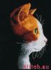 32282.thumb.jpg.ec915f06b59931ef4edf868a528cd8de.jpg