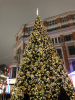 3289BB79-1B3A-4205-AA8B-3832FD0D9DCF.thumb.png.03f44e1f30a13d7eed5a1c31999ae9a5.png