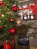 5E8DA24E-D32E-4E3C-B53B-FFF5D2C3A668.thumb.png.80a338b7df27263f88f7d9425b90ca5d.png