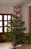 5c2e6e53d1962_DSC_2054(2).thumb.jpg.e654abf6808a30e840857298cfadcdd8.jpg