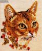 5c32827bef10b_CrossStitchGold09_Page_48.jpg.07c2102fa08f8ddc2ca2d59d3904d153.thumb.jpg.62c736a13a6df67725e4c853e60339a8.jpg