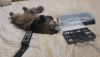 5c3901c168154_20190103_2303391.thumb.jpg.1fbdef49fd0bafff0ee5839ce7b30382.jpg