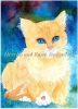 5c471a23420b3_MarmaladeKitty-.thumb.jpg.e92208eca42ae7fdd275c5489864dd22.jpg