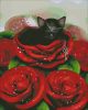5c471adc5fc48_SweetDaydreams-2.thumb.jpg.e899c01e37a95ef3fe876497ea66236c.jpg