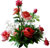 5c4b2a719729f_1.thumb.png.805d7354561f882fdf6fe1cac905947e.png