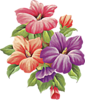 5c4b2c709bebb_5.png.cf977b0df7641fbcde9a1d47a28455ae.png
