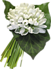 5c4b2c7107c82_2.png.513bb5f8bd0c7f98b61ce7da5d63c118.png