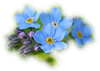 5c4b2c7228abe_4.thumb.png.ade5a04521e037bdd9919980f5413eb4.png