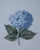 5c4b645e81c58_43559WindsorHydrangea-Bucilla.thumb.JPG.13f8ae8a233707d472b2505937a84721.JPG