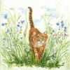 Lanarte 34767, Кот в траве (Cat in Grass)