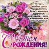 ирония.jpg