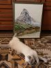 AlpineER.thumb.jpg.fa0f2e4fe9fcda4e0bfdae2064130bfc.jpg