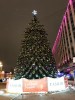 BC5FACB1-1267-4768-834F-5A57083479DE.thumb.png.37ecba26354b7422566b74c8e11013d5.png