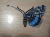 Butterfly10-2.thumb.JPG.4c9aecb07133020edc7fdf9ca0802d9a.JPG