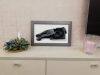 C9504A44-4392-4FD8-A3C8-346DDD27A7BB.thumb.png.6e873b503892f6e4e80401a653059907.png