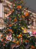 D94794DA-22E2-4314-B675-DE57F26AC2B6.thumb.png.9c846c8ad988f0b7de316502e26d9824.png