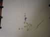 DSC03422.thumb.JPG.9ff8b8286d16aaaceb23a4994bacd6a0.JPG