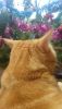 DSC_0003.thumb.JPG.dff13585942aedea9c7cfd3cb8836ced.JPG